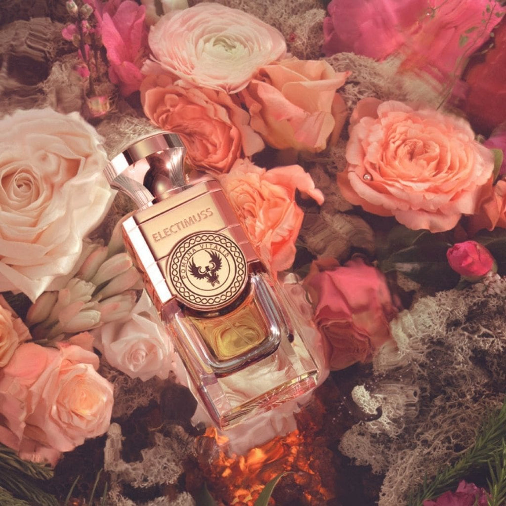 Pomona Vitalis image 2